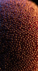 Extreme close-up of a surface covered in hundreds of tiny, perfectly spherical elements. The glossy, reflective texture creates an intricate and uniform pattern ,abstract ,density ,geometric