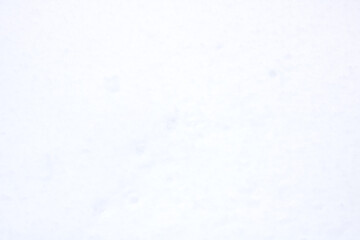 Obraz premium Calm snowy landscape. Serene snowfield showcasing fine textures and subtle light transitions