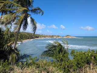 Beach in Humacao, Puerto Rico