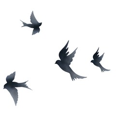 Fototapeta premium Watercolor silhouettes of flying birds on white background