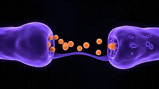 3D Animation of Synaptic Gap and Dopamine Neurotransmitter Release