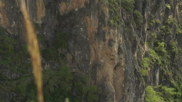 naturaleza, paisaje, bosque, verde, viajando, cielo, barrancos, impresiones, &aacute;rbol, verano, cerro, campa, primavera, dehesa, agricultura, flor, huerta, chacras, hojas, azul, ambiente, ciclos, monachil