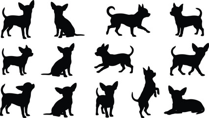 Chihuahua silhouettes, dog poses, pet vector, small breed clipart, canine design, puppy icons, animal graphics, black shape, cute dog art © Enamul