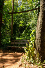 bench in the forest