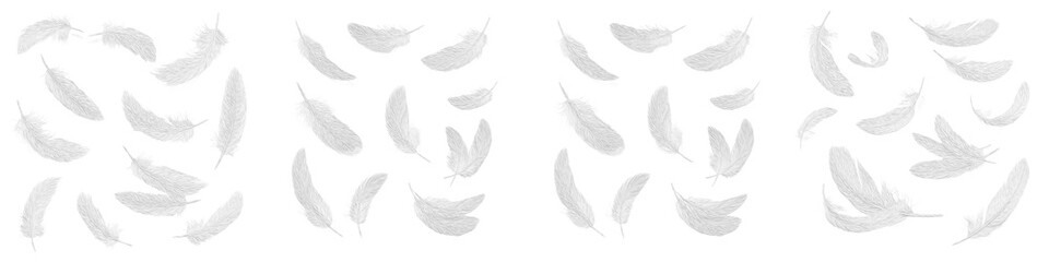 Set of soft white feathers floating on white background, ethereal bird plumage collection for dream and purity concept © Jamil