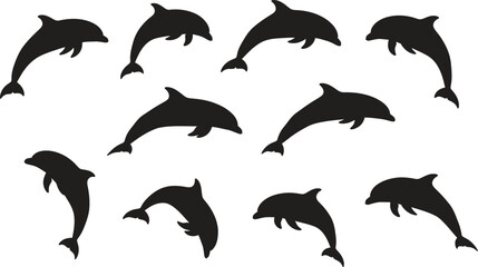 Obraz premium Silhouette of multiple dolphins in various swimming positions