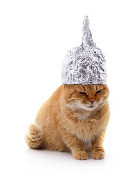 Red cat wearing a tin foil hat.