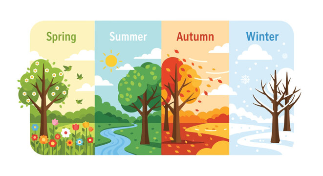 Four seasons depicted with trees and changing foliage in a colorful illustration