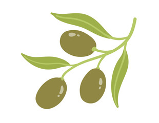 Vector illustration of olive branch with green olives and leaves. Flat botanical and organic object.