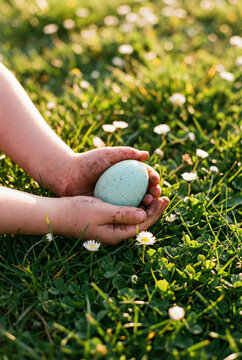 Child Hands Holding A Blue Egg: Close Up Of Small Hands Gently Cupping An Egg On Green Grass Outdoors In Natural Light