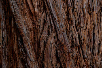 Obraz premium Close-up of a textured tree bark with rich brown tones and intricate patterns. The surface shows natural lines and grooves, highlighting the wood's age and character.