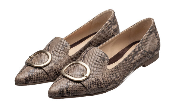 Snake print leather moccasins with a pointed toe and decorative buckle