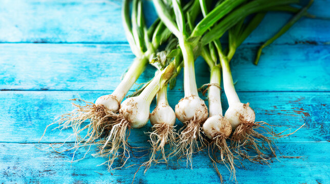 Fresh spring onions with vibrant green tops and white bulbs, showing roots, arranged on a textured blue wooden surface