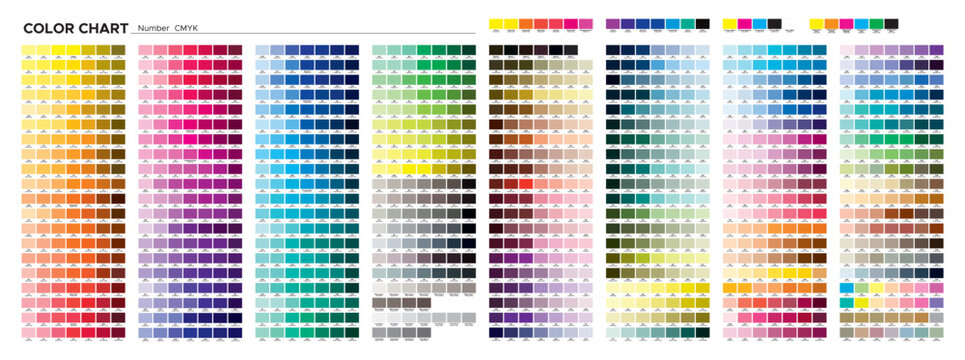 Color chart. CMYK colors on coated paper. Print test page. Prepress color matching, selecting samples, quality control colors for printing. Vector palette