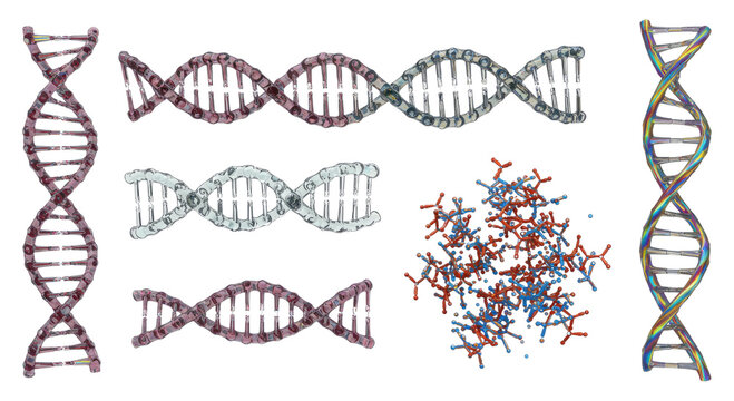 Illustrations of multiple DNA double helix models and a cluster of nucleotide molecular structures