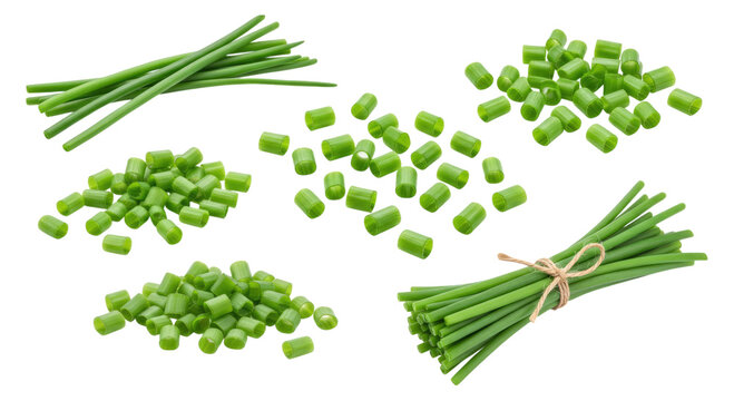 Fresh green chives and garlic chive stems shown whole in tied bunches and in various chopped, sliced and diced cuts on a transparent background