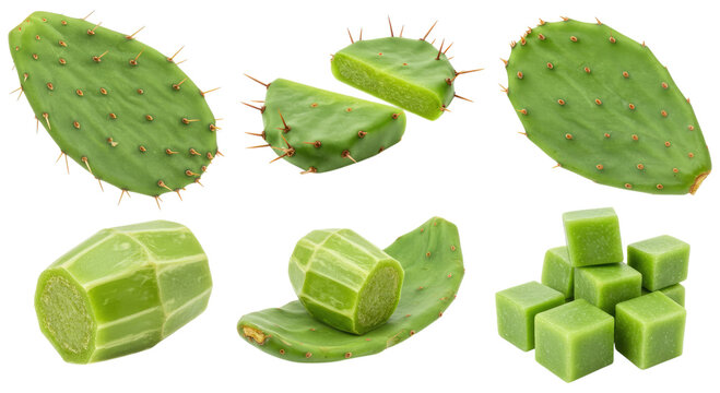 Fresh green nopal cactus pads and cross-sections, including sliced pieces and diced cubes, isolated on a transparent background