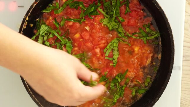 Process of cooking tomato sauce on the pan
