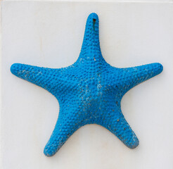 starfish isolated on white background