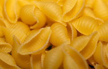  pasta shells close up background