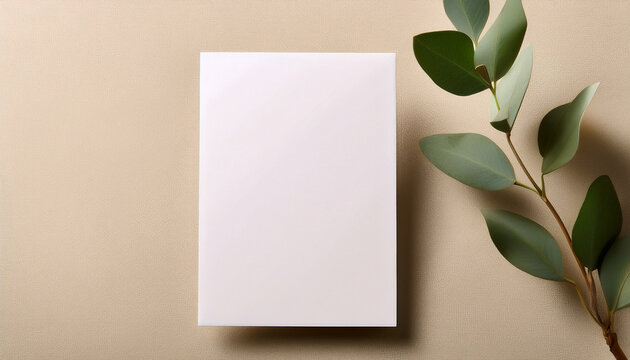 White Invitation Card Mockup With An Eucalyptus On The Beige Table 5X7 Ratio Similar To A6 A5