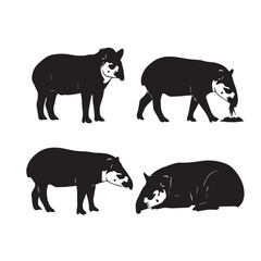 Fototapeta premium Tapir Silhouette Vector Set, Tapir Animal Black and White Illustration, Tapir Silhouette Collection