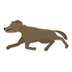 Fototapeta premium 3D Isometric Flat Illustration of Sleeping Pets. Item 5