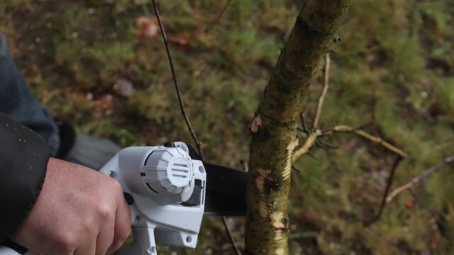 Close-up of Man trims tree branches with cordless chain saw for pruning trees. High quality 4k footage