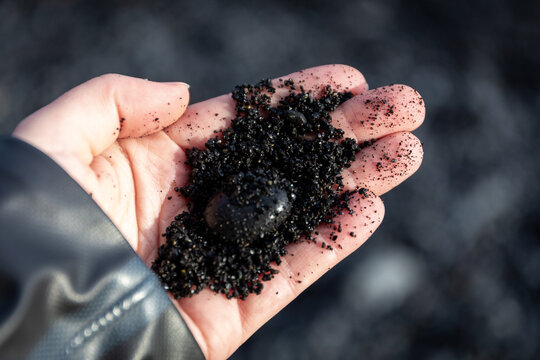 Reynisfjara Black Sand Beach volcanic granules and pebble held in a hand, Iceland