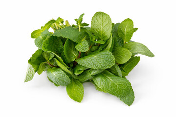 Feuilles de menthe fra&icirc;che isol&eacute;es sur fond blanc