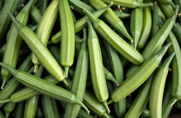 Obraz premium Fresh organic green okra pods piled high. Healthy raw vegetable finger crop ready for cooking. Tropical plant good for vegan diet. Natural ingredient for meals.
