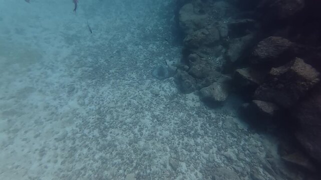 underwater view of the sea