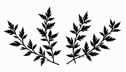 Naklejka premium Black silhouette of two ornamental plant sprigs on white background. Simple botanical illustration for design elements. Use for culinary or decor.