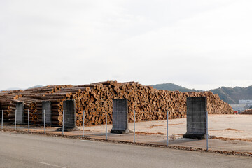 港の丸太置き場