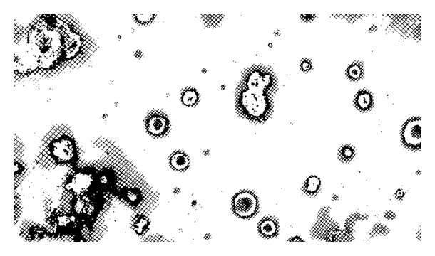 Gritty halftone illustration of cratered surface and organic spot patterns in vintage comic style