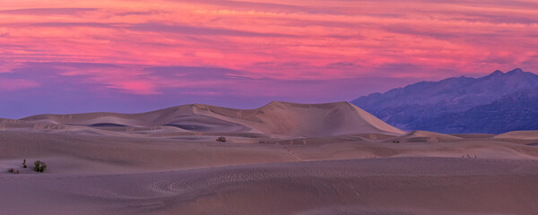 Mesquite High Dunes Soft Sunrise