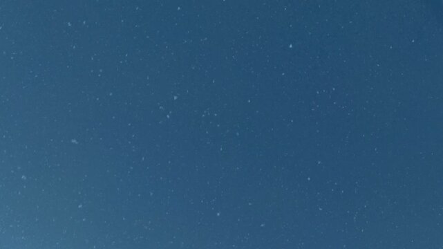 small organic particles in motion, ecological research, cells, biology, sustainable technologies for scientific presentations, microorganisms, microparticles, blue
