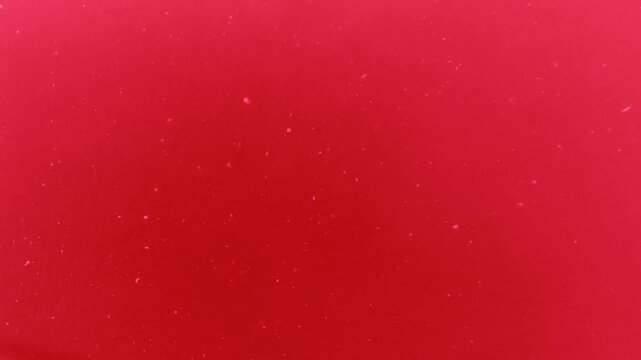 small organic particles in motion, ecological research, cells, biology, blood, sustainable technologies for scientific presentations, microorganisms, microparticles, red
