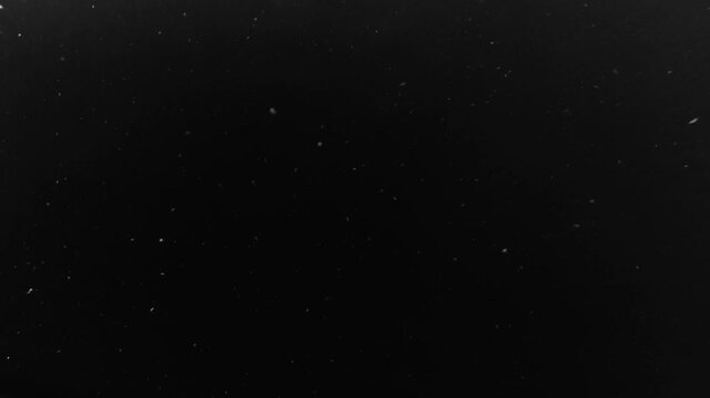 small organic particles in motion, ecological research, cells, biology, sustainable technologies for scientific presentations, microorganisms, microparticles, black, grey, white
