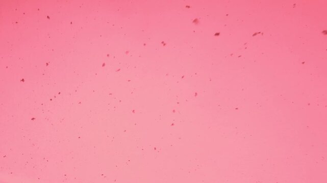 small organic particles in motion, particles, ecological research, cells, biology, sustainable technologies for scientific presentations, microorganisms, microparticles, red, pink
