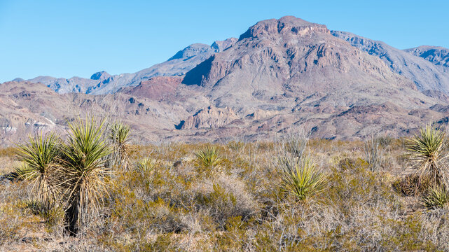 A panorama of the Chihuahuan Desert in Big Bend National Park