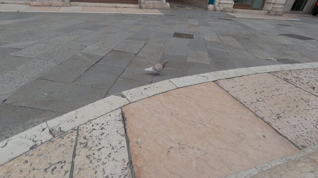 Street in the city, Verona, Italy