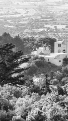 Obraz premium Scenic coastline of Kos with traditional architecture and lush M