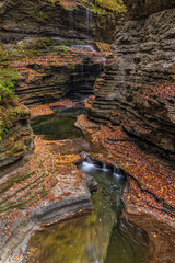 Watkins Glen Serene Pools