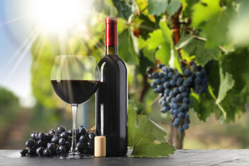 Naklejka premium Wine and fresh grapes on table. Glass and bottle in vineyard