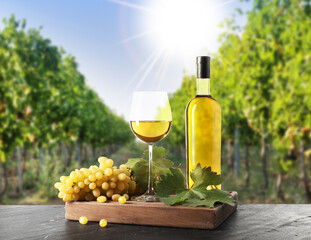Naklejka premium Wine and fresh grapes on table. Glass and bottle in vineyard