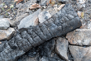 Charred Log Resting Among Rough Rocks and Ash in an Outdoor Setting