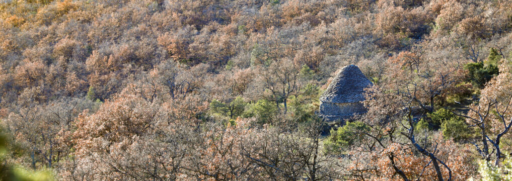 Borie dans la for&ecirc;t proven&ccedil;ale