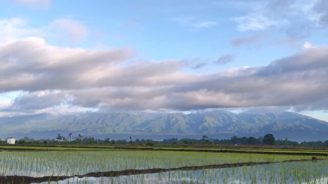 Horizontal view of Mount Argopuro from rice field with moving clouds.