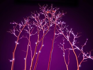 Ascending skeletal branches, a graphic botanical composition etched in light Studio, high-key, low angle,  botanical,  design